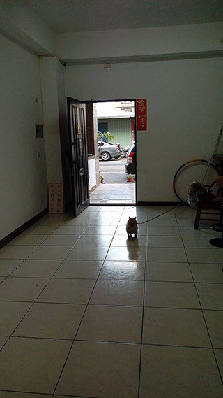 {i