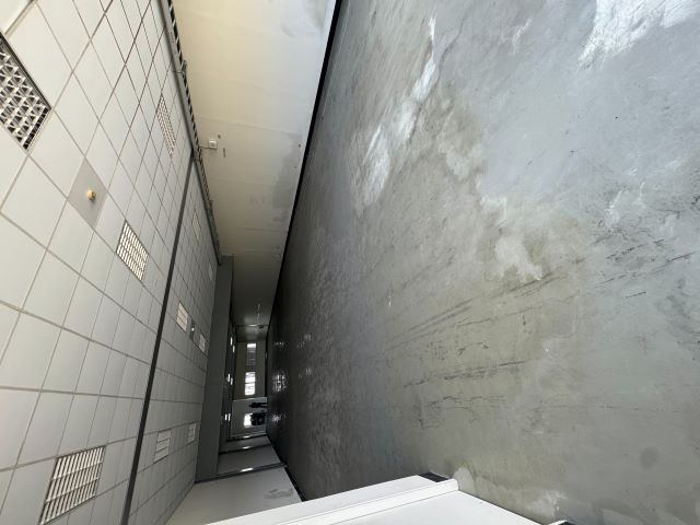 {i